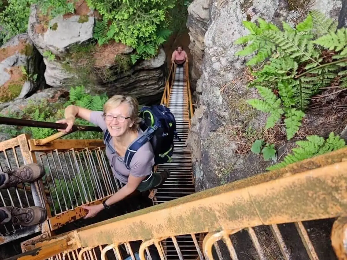Zwei Personen steigen eine schmale Metalltreppe zwischen Felswänden hinauf; Farn und Wald im Hintergrund. | © DAV Markt Schwaben/Josephine Freikamp