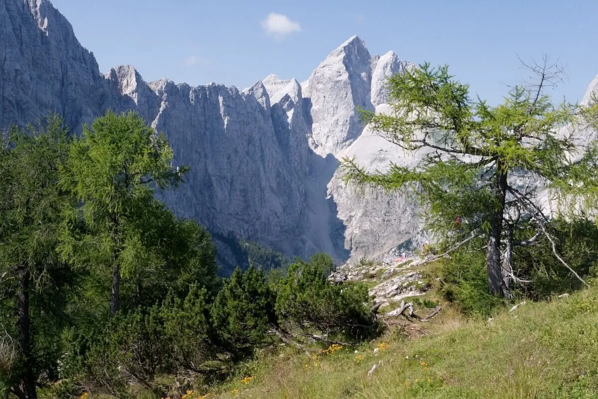 Grüne Wiese mit Bäumen und Blumen vor steilen Felsgipfeln; klare Sicht auf Jalovec bei sonnigem Wetter. | © DAV Markt Schwaben/Lutz Gründel