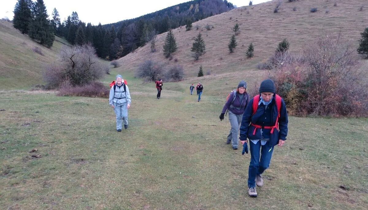 Wandernde steigen über grasige Almwiese bergauf; Hügel und kahle Bäume im Hintergrund, spätherbstliche Stimmung. | © DAV Markt Schwaben/Gerlinde Hübl