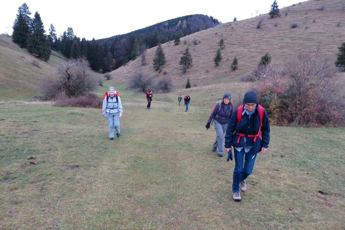 Wandernde steigen über grasige Almwiese bergauf; Hügel und kahle Bäume im Hintergrund, spätherbstliche Stimmung. | © DAV Markt Schwaben/Gerlinde Hübl