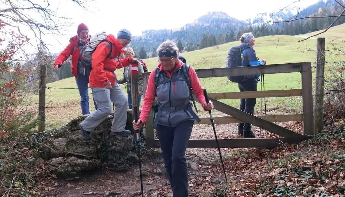 Fünf Wandernde passieren ein Holztor am Hang; Wiese, Bäume und Hügel im Hintergrund, spätherbstliche Farben. | © DAV Markt Schwaben/Erwin Matzinger