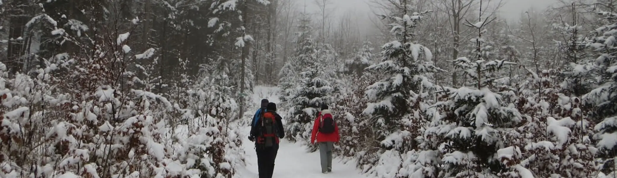 Zwei Personen mit Rucksäcken wandern auf einem schneebedeckten Waldweg; Bäume und Büsche im Hintergrund. | © DAV Markt Schwaben | Foto Gerlinde Hübl