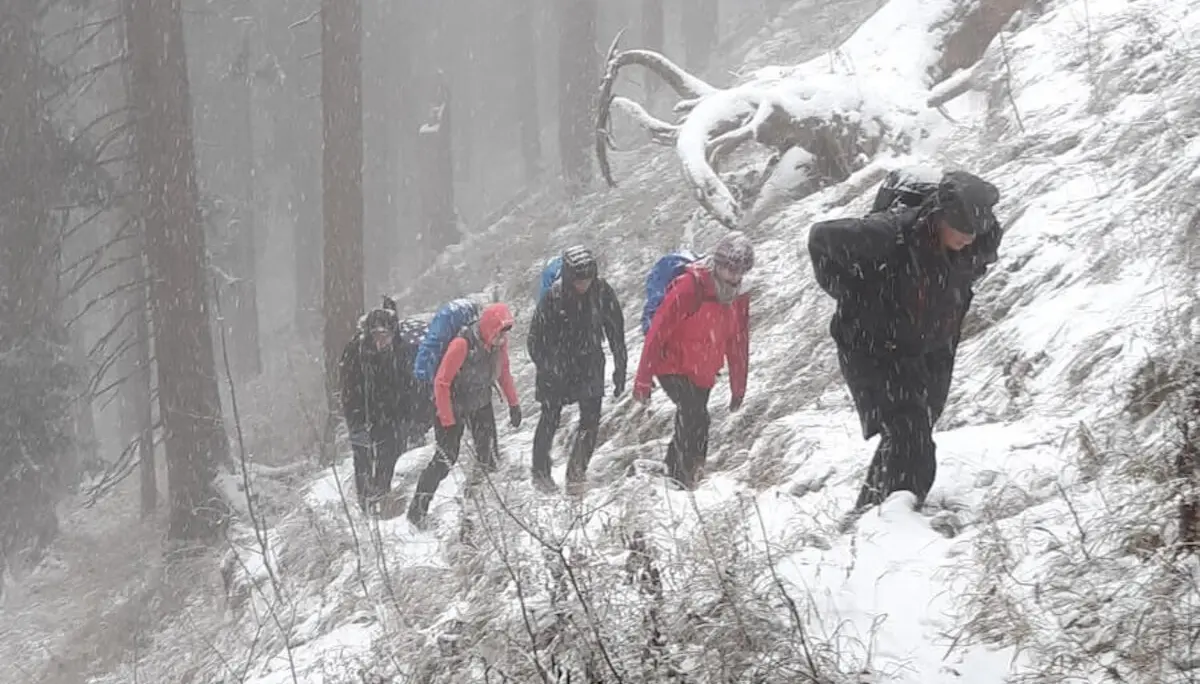 Fünf Wandernde steigen bei Schneefall einen steilen Waldpfad hinauf; gefallener Baum im Hintergrund. | © DAV Markt Schwaben/Ursula