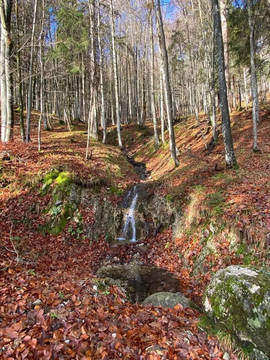 Kleiner Wasserfall fließt über moosige Steine im Laubwald; orangefarbene Blätter bedecken den Boden. | © DAV Markt Schwaben | Foto Markus Sellmeier