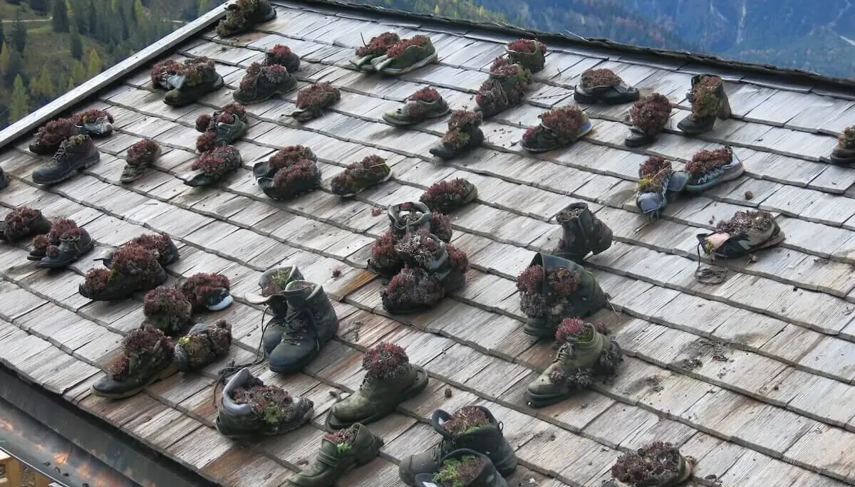 Mehrere alte Schuhe mit Pflanzen bedecken schräges Holzdach; dahinter Wald und Berglandschaft. | © DAV Markt Schwaben | Foto Erwin Matzinger