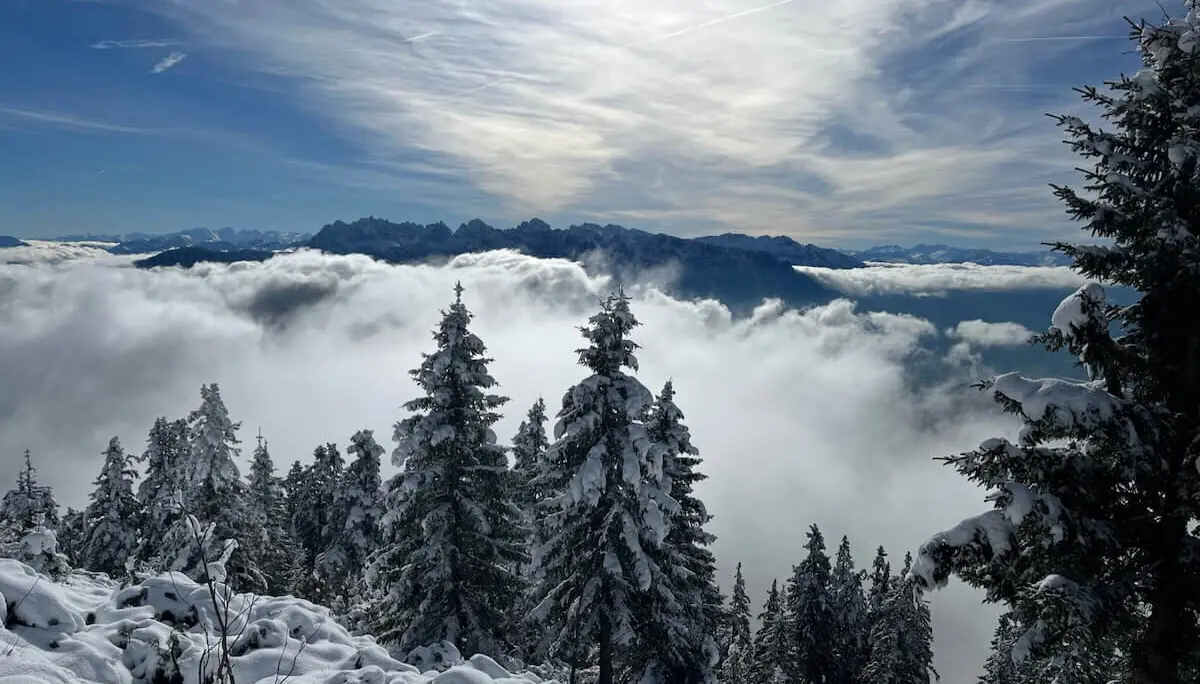 Schneebedeckter Waldhang mit Nebel im Tal; dahinter Bergkette unter dramatischem Himmel mit Sonnenstrahlen. | © DAV Markt Schwaben | Foto Markus Sellmeier