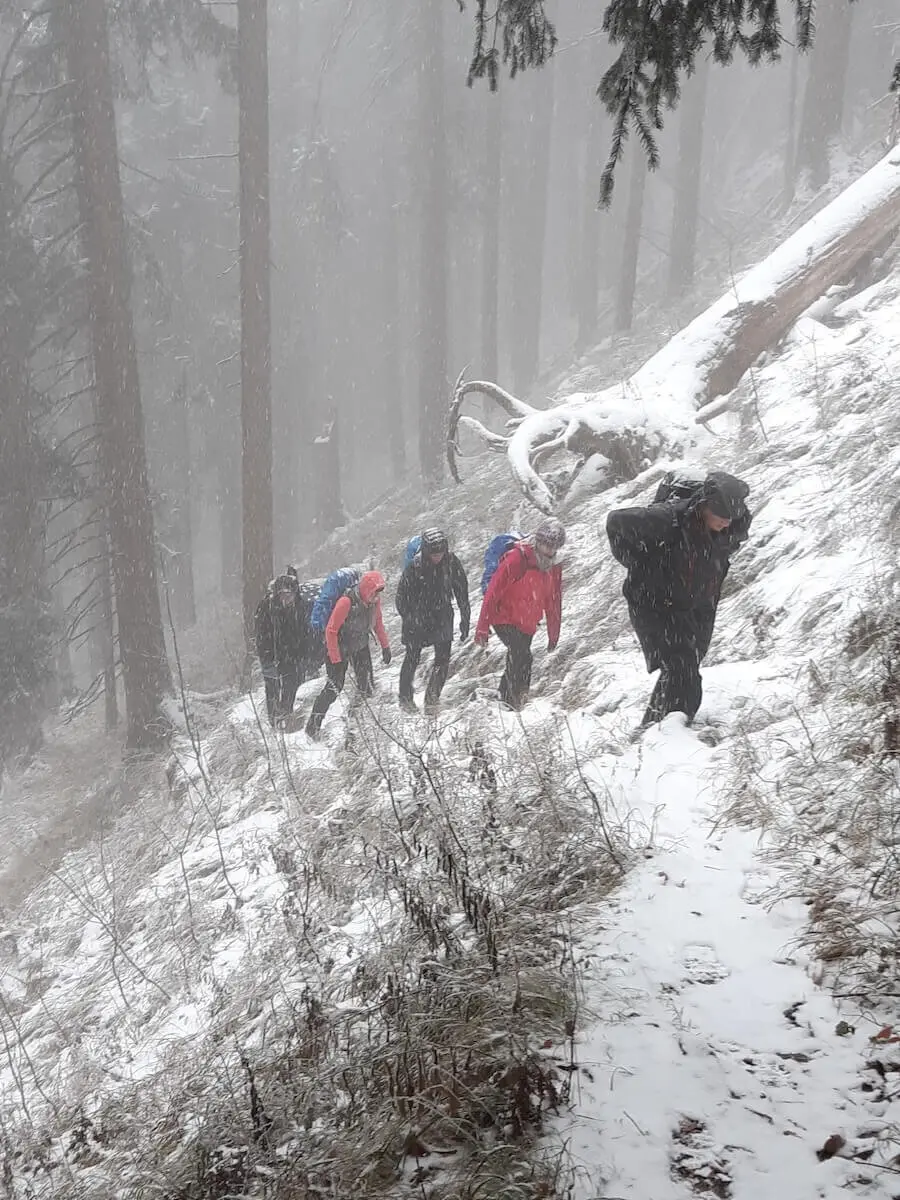 Fünf Wandernde steigen bei Schneefall einen steilen Waldpfad hinauf; gefallener Baum im Hintergrund. | © DAV Markt Schwaben | Foto Ursula