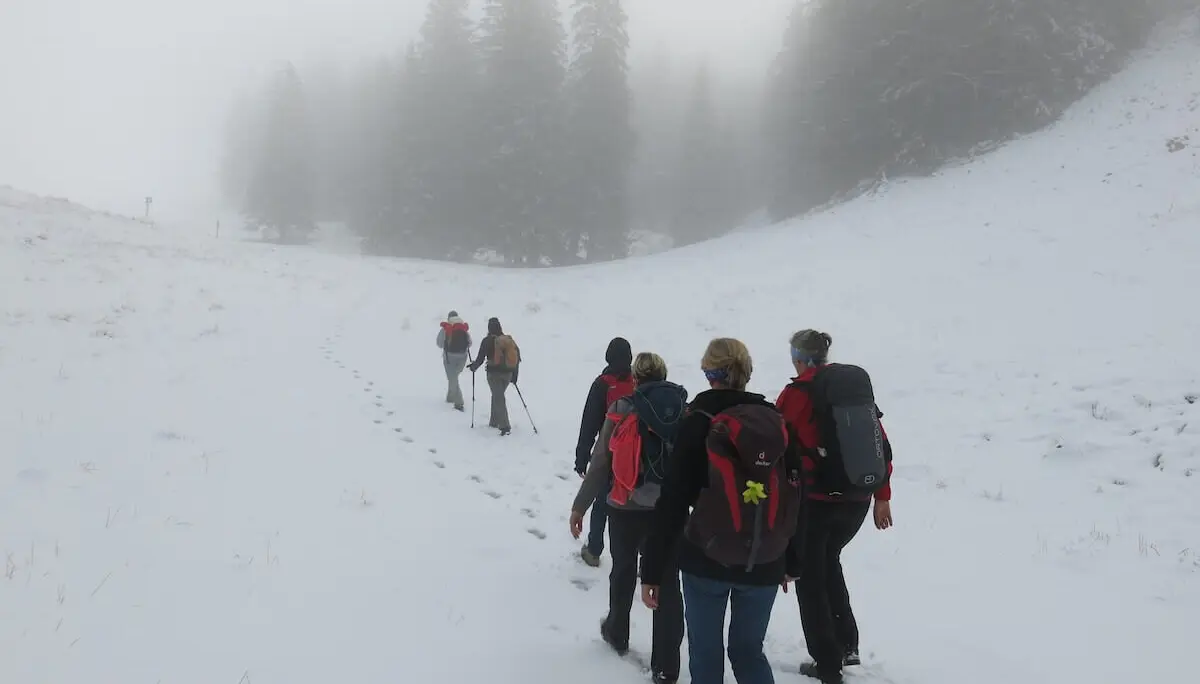 Gruppe wandert in Reihe durch verschneiten Wald; hohe Tannen im Nebel, frische Fußspuren im Vordergrund. | © DAV Markt Schwaben | Foto Erwin Matzinger