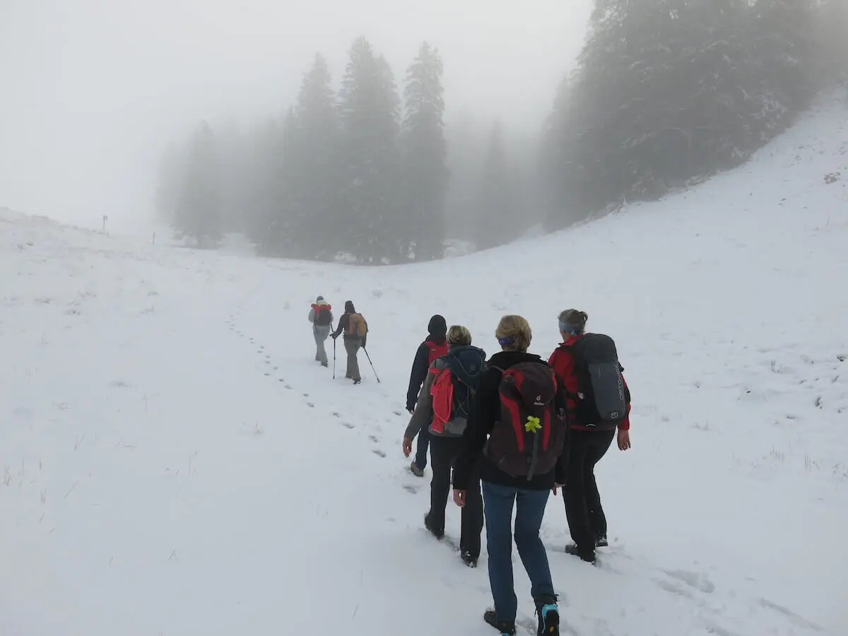 Gruppe wandert in Reihe durch verschneiten Wald; hohe Tannen im Nebel, frische Fußspuren im Vordergrund. | © DAV Markt Schwaben | Foto Erwin Matzinger