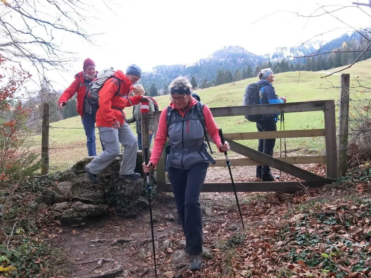 Fünf Wandernde passieren ein Holztor am Hang; Wiese, Bäume und Hügel im Hintergrund, spätherbstliche Farben. | © DAV Markt Schwaben | Foto Erwin Matzinger