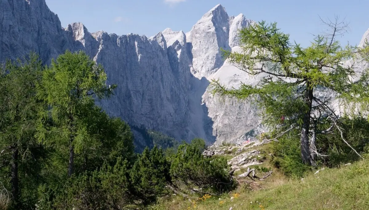 Grüne Wiese mit Bäumen und Blumen vor steilen Felsgipfeln; klare Sicht auf Jalovec bei sonnigem Wetter. | © DAV Markt Schwaben | Foto Lutz Gründel