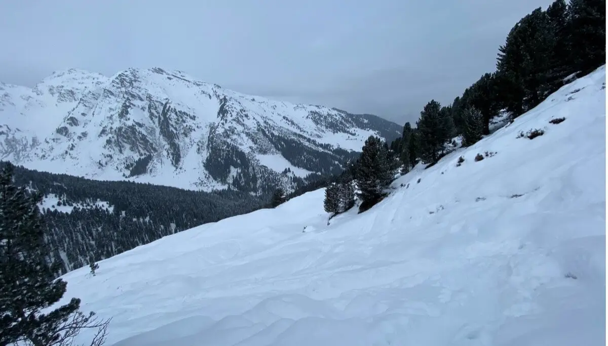 © Alexandra Robrecht