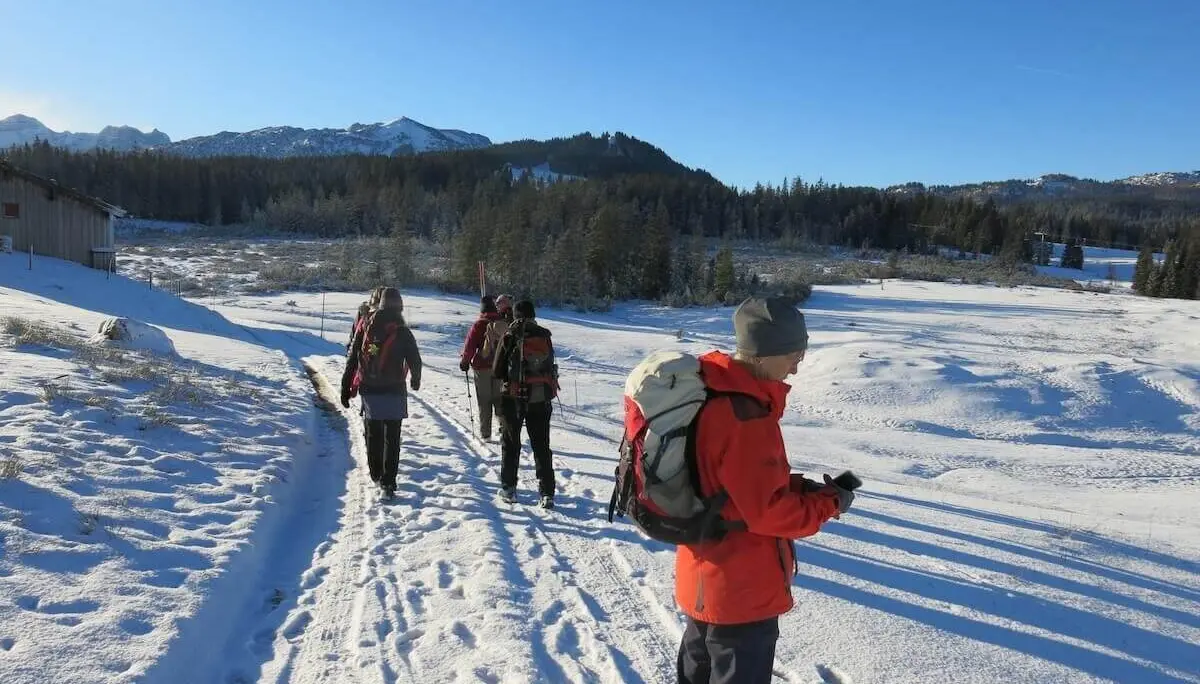 Mehrere Wandernde mit Rucksäcken gehen auf einem verschneiten Weg über die Alm; dahinter erheben sich bewaldete Hügel und Berge. | © DAV Markt Schwaben / Erwin Matzinger