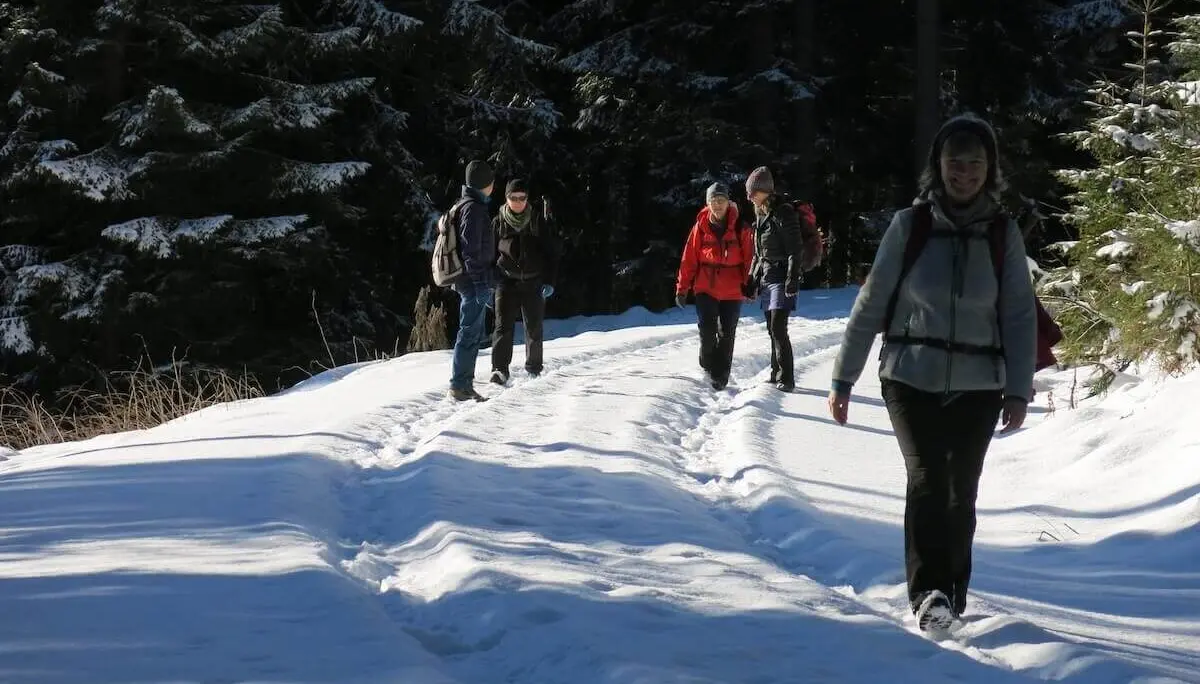 Mehrere Wandernde mit Rucksäcken folgen einer Spur im Schnee durch einen dunklen Nadelwald am Rand der Alm. | © DAV Markt Schwaben / Erwin Matzinger