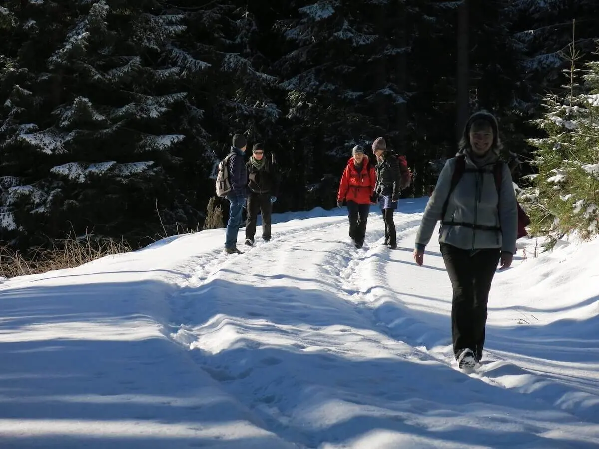Mehrere Wandernde mit Rucksäcken folgen einer Spur im Schnee durch einen dunklen Nadelwald am Rand der Alm. | © DAV Markt Schwaben / Erwin Matzinger