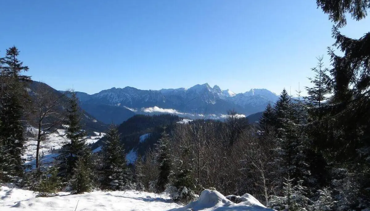 Blick über verschneite Waldhänge auf eine markante Gebirgskette; zwischen den Bergen liegen einzelne Nebelfelder im Tal. | © DAV Markt Schwaben / Gerlinde Hübl