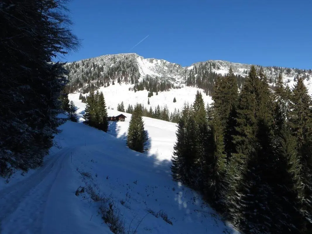 in schmaler, verschneiter Weg führt durch Nadelwald zu einer Almhütte; darüber ragt ein schneebedeckter Berghang auf. | © DAV Markt Schwaben / Gerlinde Hübl