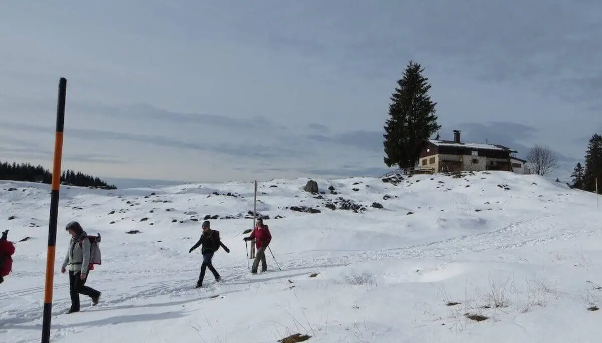 Mehrere Wandernde queren eine verschneite Almfläche; auf einer Anhöhe steht eine einzelne Hütte neben einer hohen Tanne. | © DAV Markt Schwaben / Gerlinde Hübl