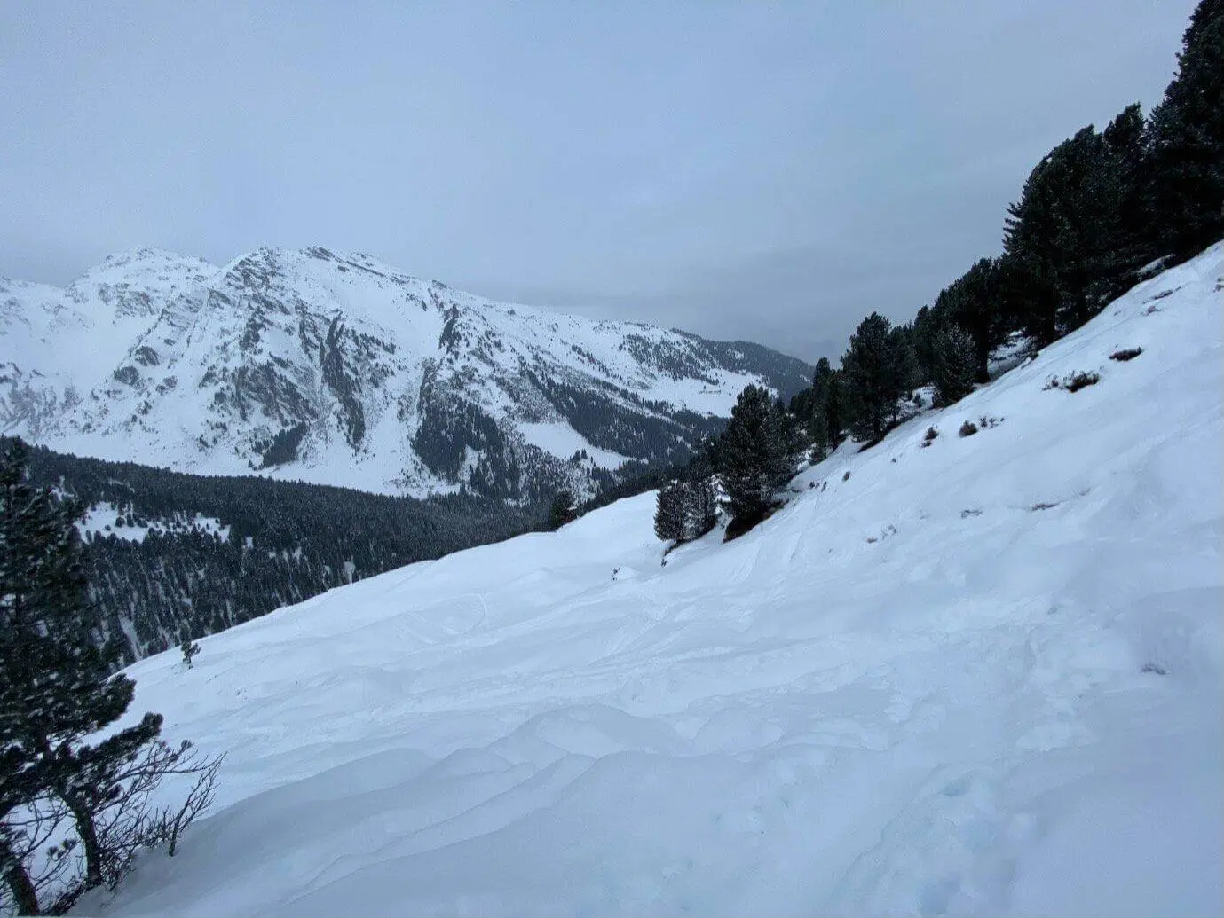 © Alexandra Robrecht