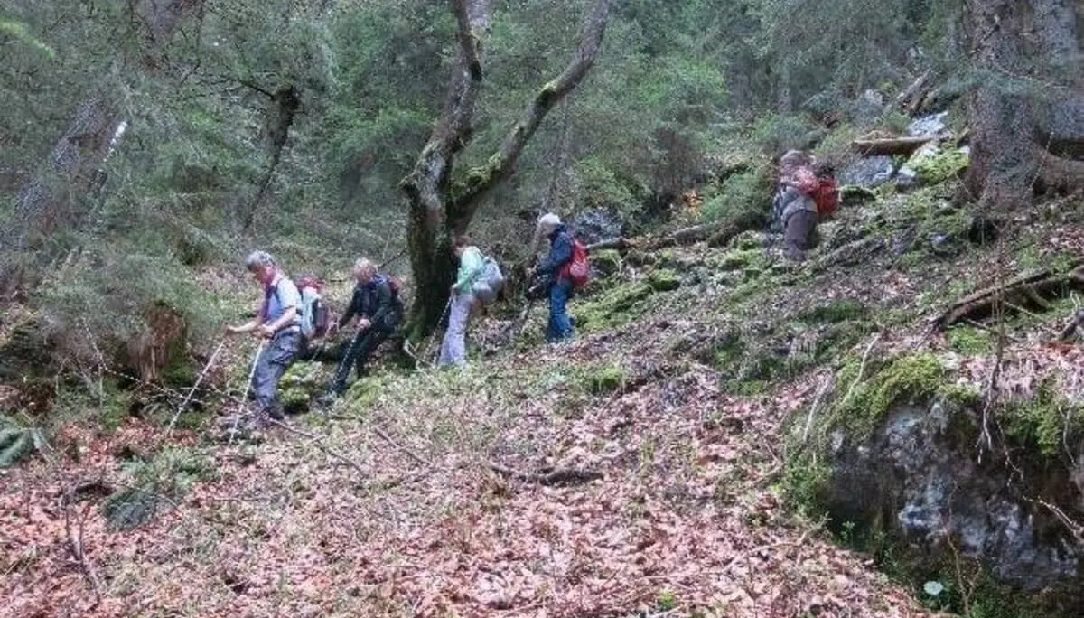 © DAV Markt Schwaben/Erwin Matzinger