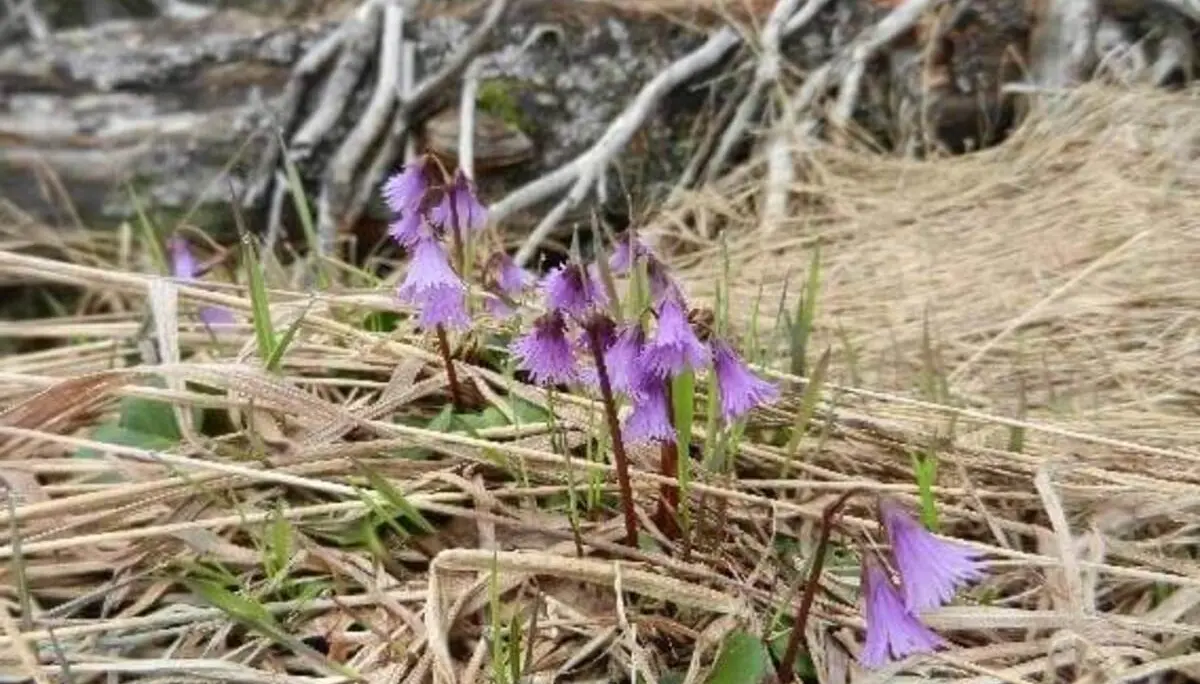 © DAV Markt Schwaben/Erwin Matzinger