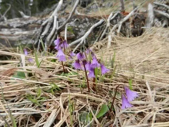 © DAV Markt Schwaben/Erwin Matzinger