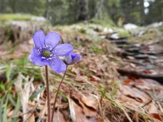 © DAV Markt Schwaben/Erwin Matzinger