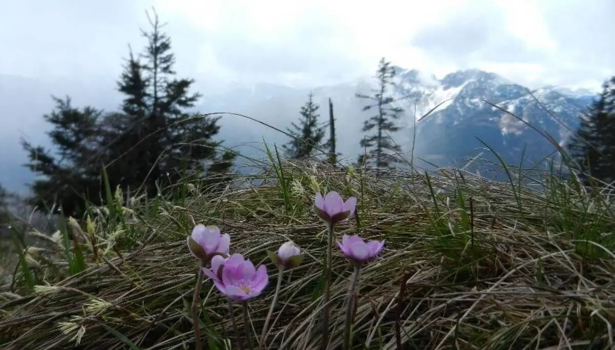 © DAV Markt Schwaben/Erwin Matzinger