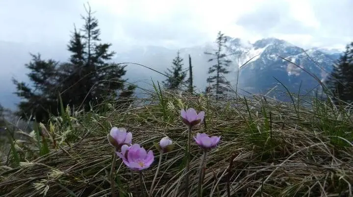 © DAV Markt Schwaben/Erwin Matzinger