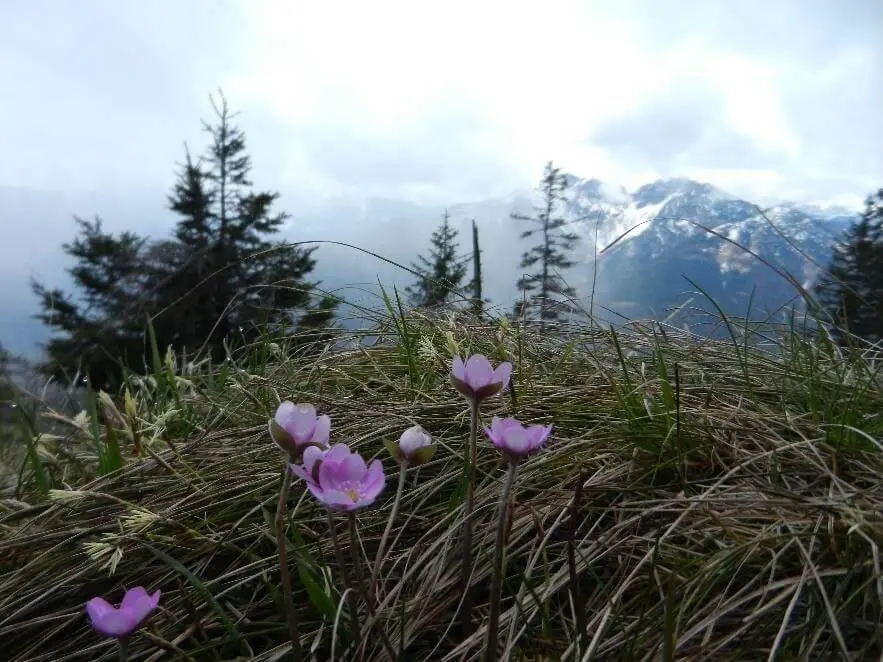 © DAV Markt Schwaben/Erwin Matzinger