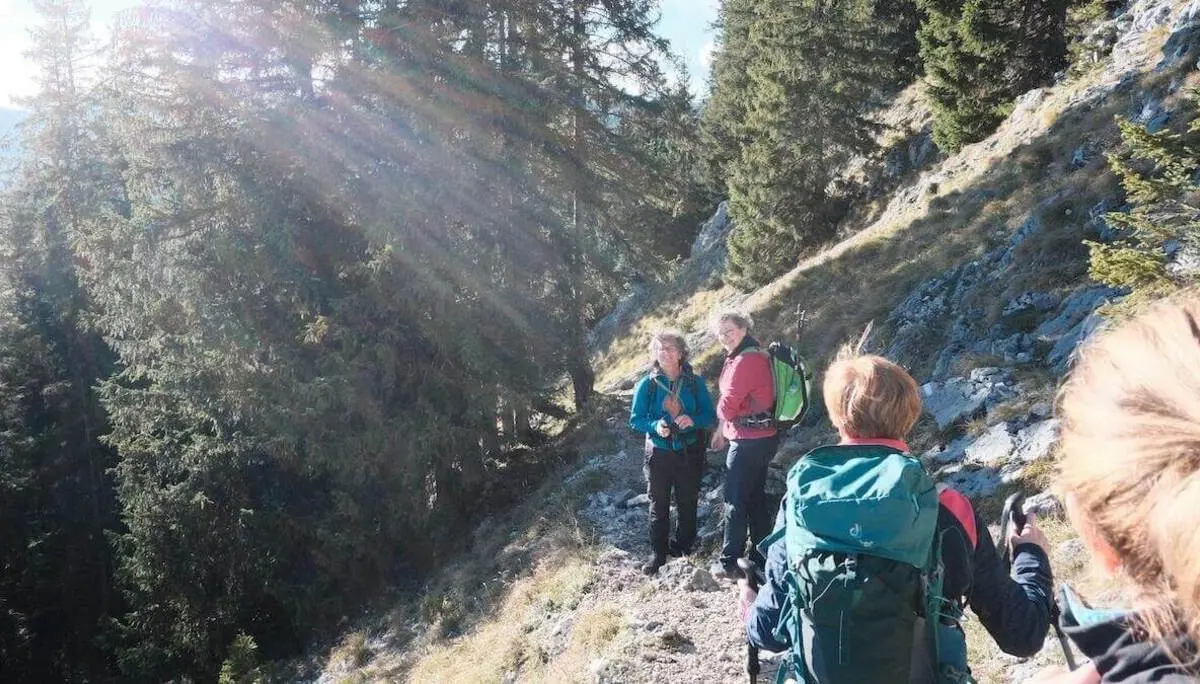 Wandergruppe auf schmalem Waldweg mit Felsen und hohen Nadelbäumen, Sonnenstrahlen fallen schräg durch die Äste. | © DAV Markt Schwaben/Bernhard Zech