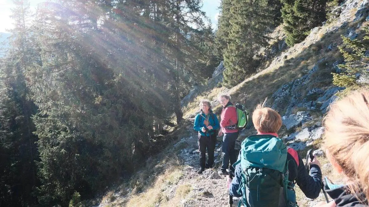 Wandergruppe auf schmalem Waldweg mit Felsen und hohen Nadelbäumen, Sonnenstrahlen fallen schräg durch die Äste. | © DAV Markt Schwaben/Bernhard Zech