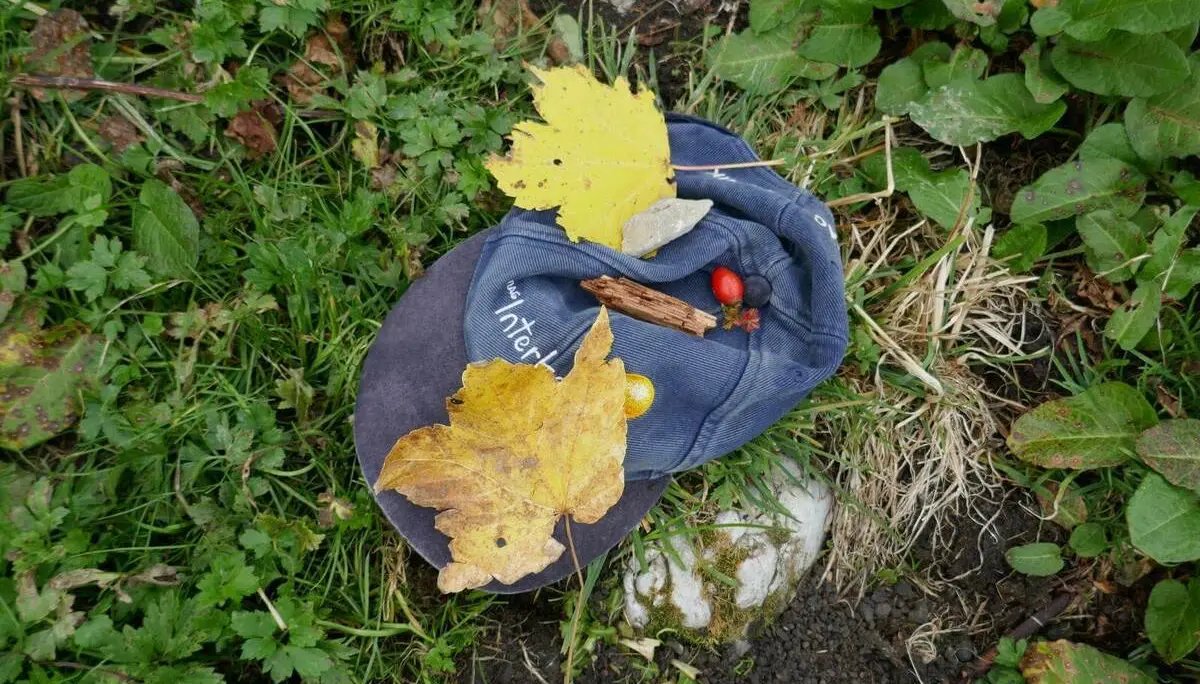 Gelbe Blätter, Beeren, Holzstück und Stein liegen auf einer Mütze im Gras; Nahaufnahme zeigt Details von Pflanzen und Boden. | © DAV Markt Schwaben/Elke Kressirer