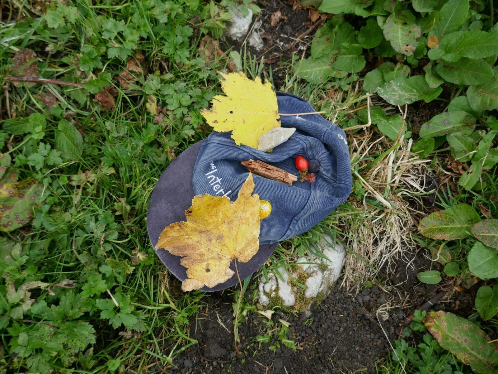 Gelbe Blätter, Beeren, Holzstück und Stein liegen auf einer Mütze im Gras; Nahaufnahme zeigt Details von Pflanzen und Boden. | © DAV Markt Schwaben/Elke Kressirer