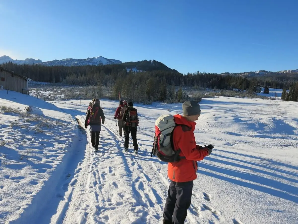 SPIRI Wanderung November 2023 | © DAV Markt Schwaben | Foto Gerlinde Hübl