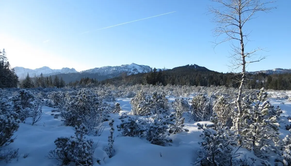 SPIRI Wanderung November 2023 | © DAV Markt Schwaben | Foto Gerlinde Hübl