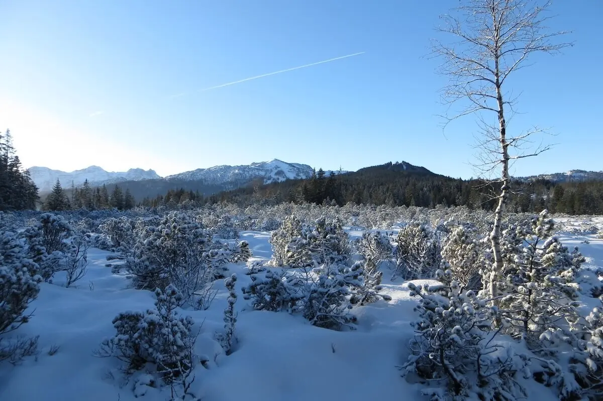 SPIRI Wanderung November 2023 | © DAV Markt Schwaben | Foto Gerlinde Hübl