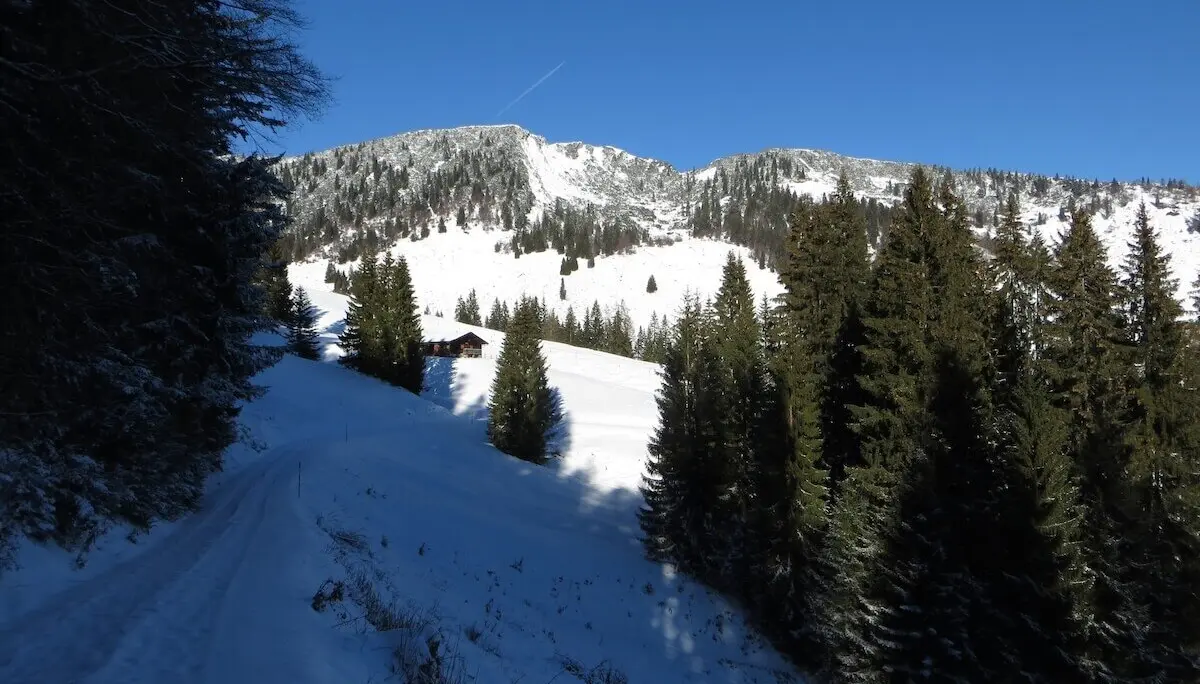 SPIRI Wanderung November 2023 | © DAV Markt Schwaben | Foto Gerlinde Hübl