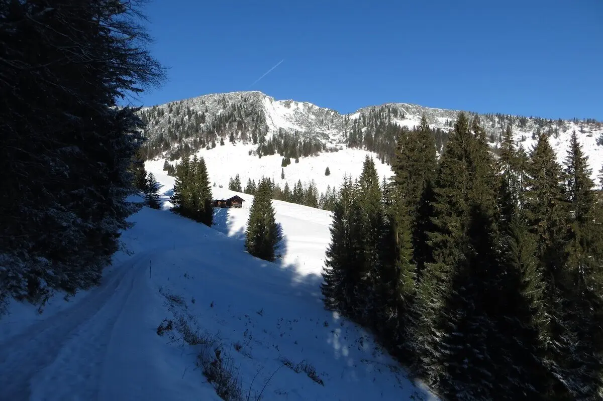 SPIRI Wanderung November 2023 | © DAV Markt Schwaben | Foto Gerlinde Hübl