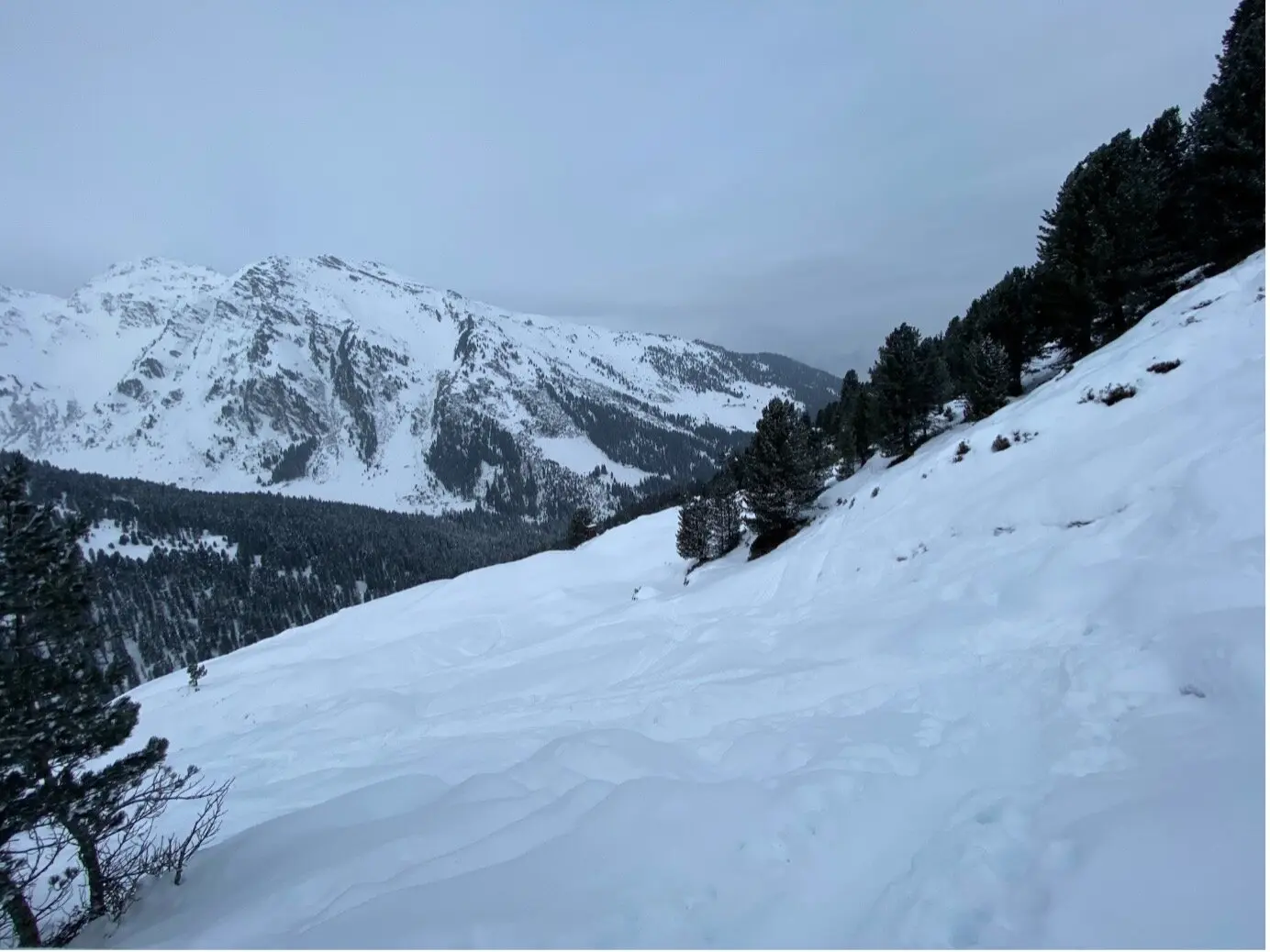 © Alexandra Robrecht