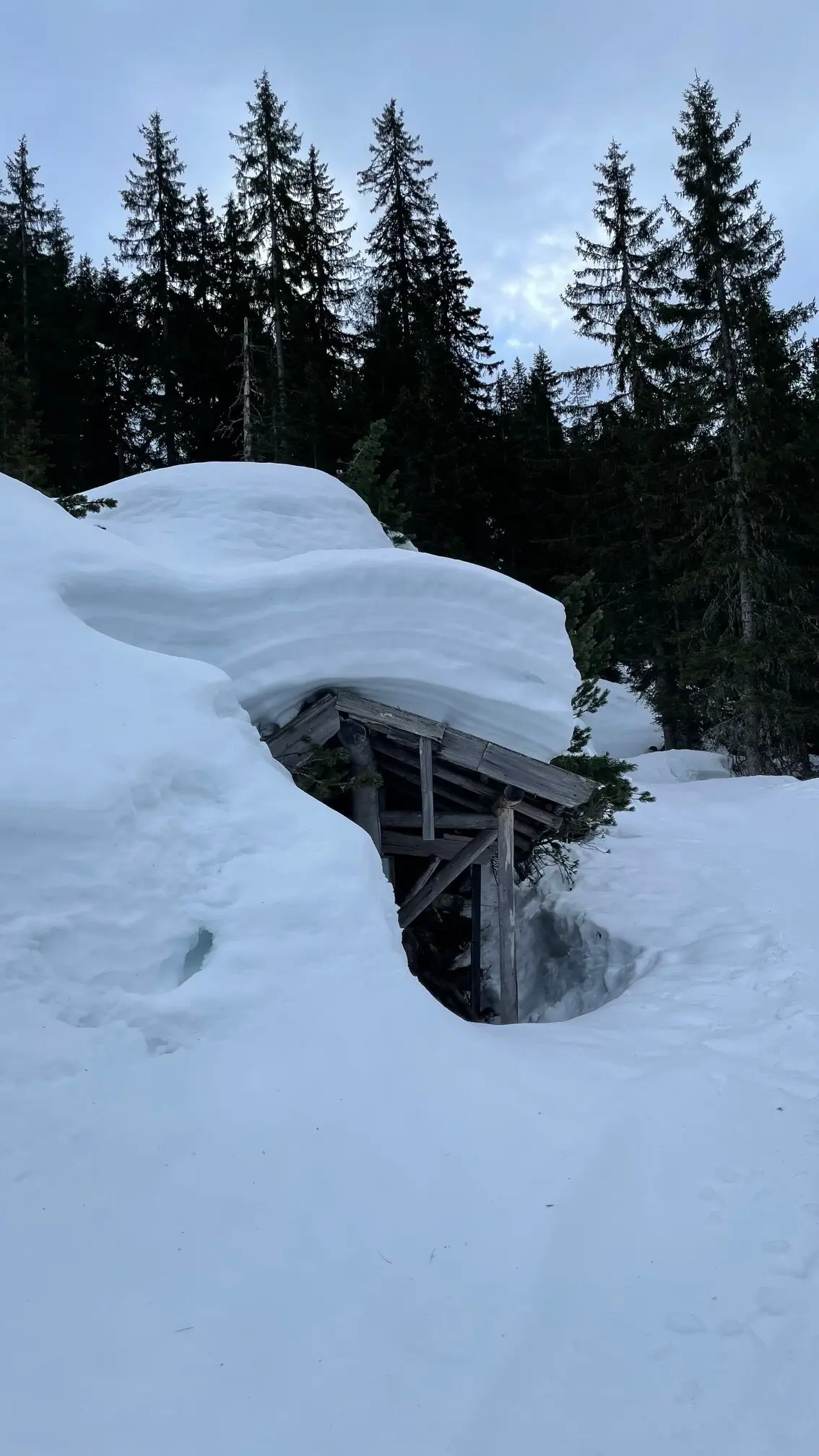 © Christian Reischl