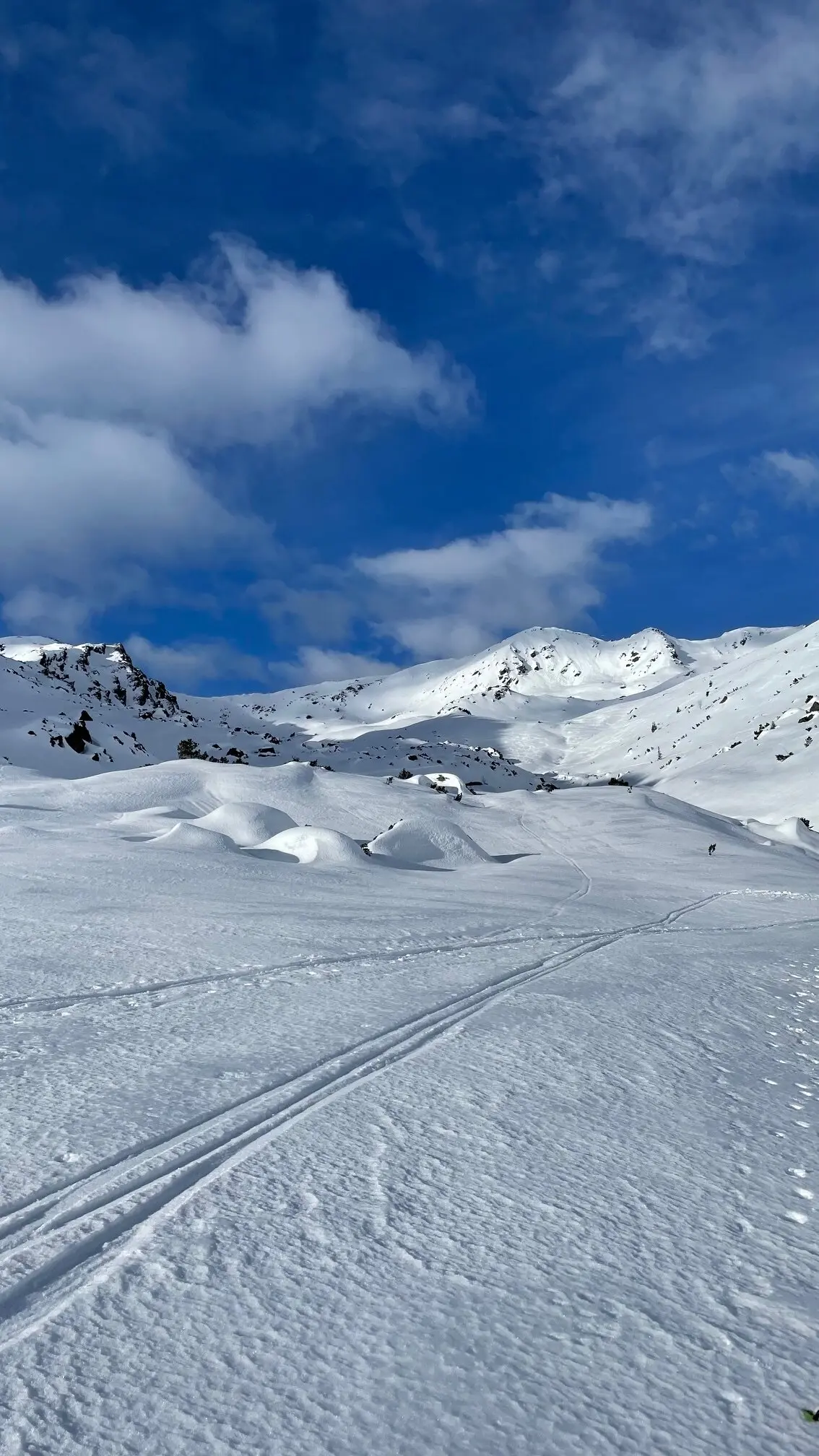 © Christian Reischl