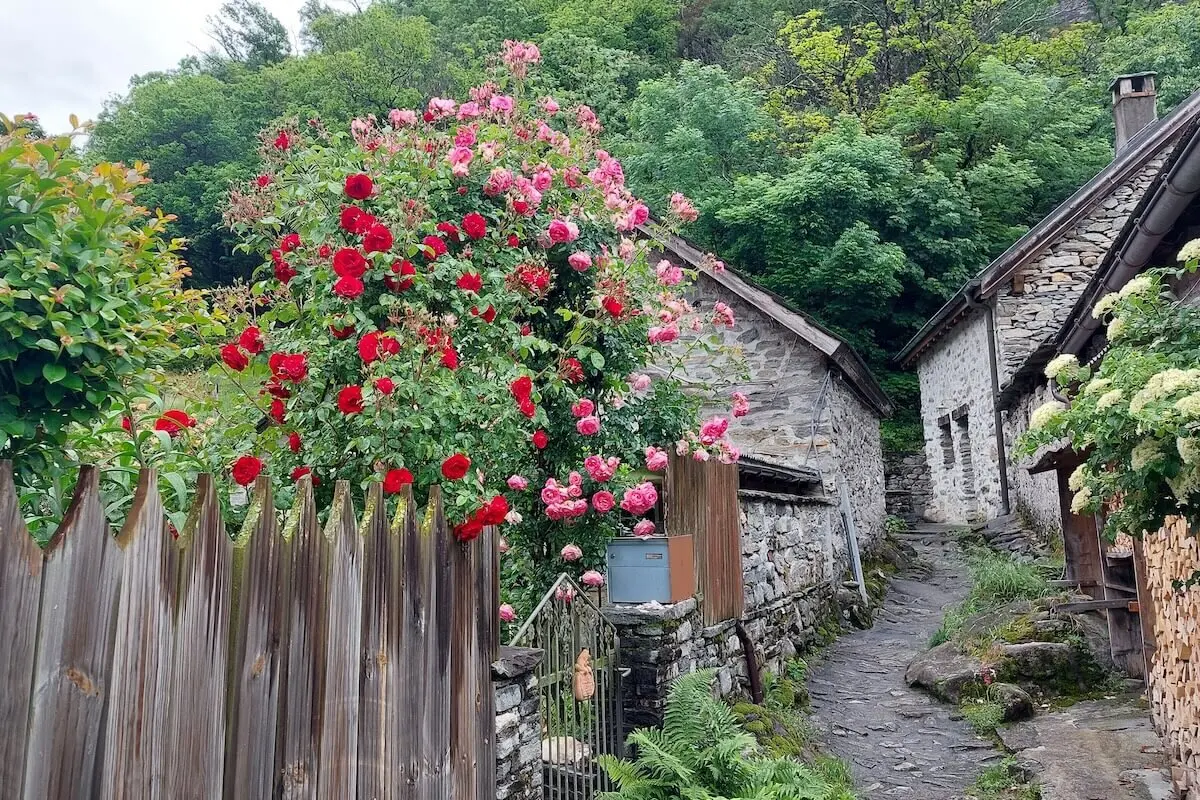 Klettern, Wandern, Radfahren Himmelfahrtswochenende 2023 Tessin | © DAV Markt Schwaben | Foto Lutz Gründel