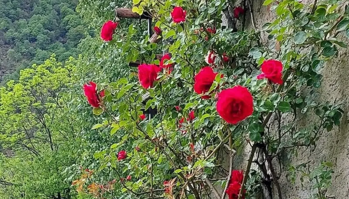 Klettern, Wandern, Radfahren Himmelfahrtswochenende 2023 Tessin | © DAV Markt Schwaben | Foto Lutz Gründel