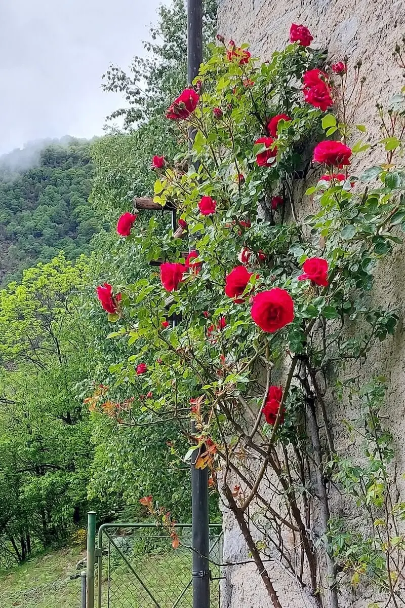 Klettern, Wandern, Radfahren Himmelfahrtswochenende 2023 Tessin | © DAV Markt Schwaben | Foto Lutz Gründel
