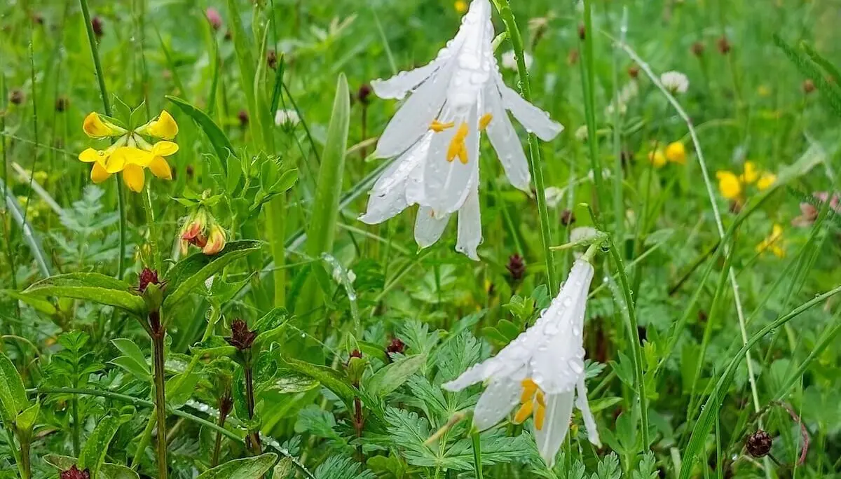 Klettern, Wandern, Radfahren Himmelfahrtswochenende 2023 Tessin | © DAV Markt Schwaben | Foto Lutz Gründel