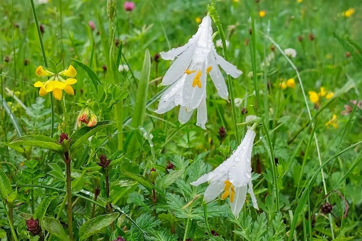 Klettern, Wandern, Radfahren Himmelfahrtswochenende 2023 Tessin | © DAV Markt Schwaben | Foto Lutz Gründel