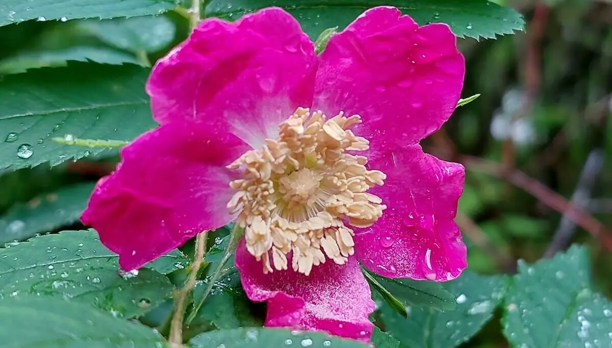 Klettern, Wandern, Radfahren Himmelfahrtswochenende 2023 Tessin | © DAV Markt Schwaben | Foto Lutz Gründel