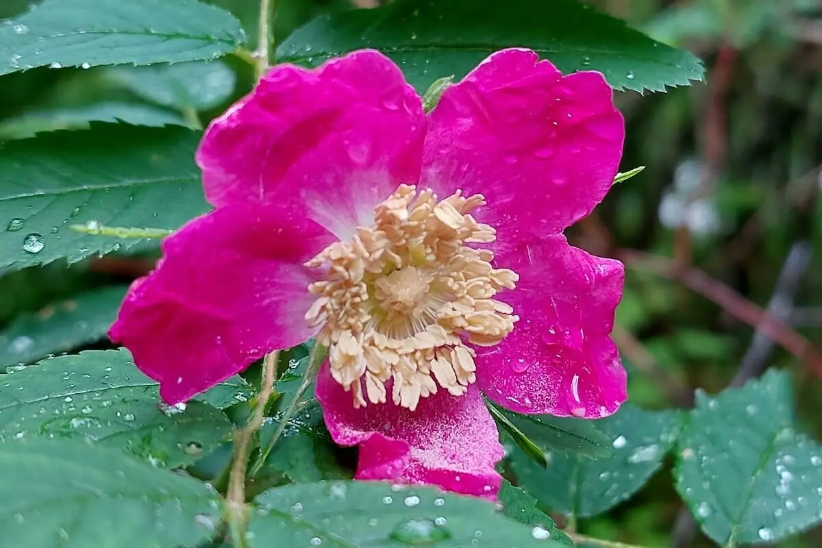 Klettern, Wandern, Radfahren Himmelfahrtswochenende 2023 Tessin | © DAV Markt Schwaben | Foto Lutz Gründel