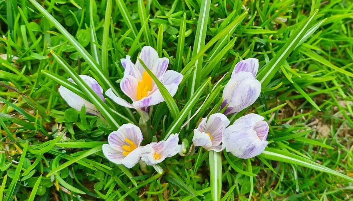 Klettern, Wandern, Radfahren Himmelfahrtswochenende 2023 Tessin | © DAV Markt Schwaben | Foto  Andrea Kretzschmar